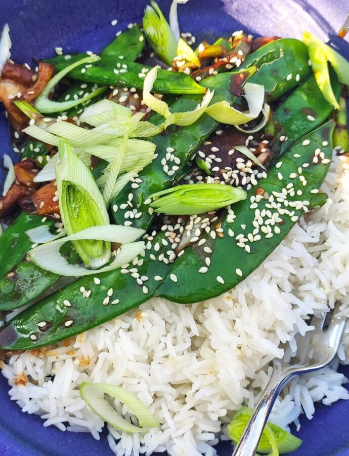 Veggies and teriyaki rice