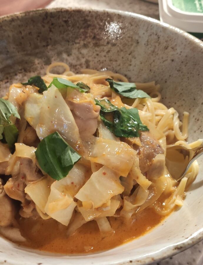 Red chicken Thai curry