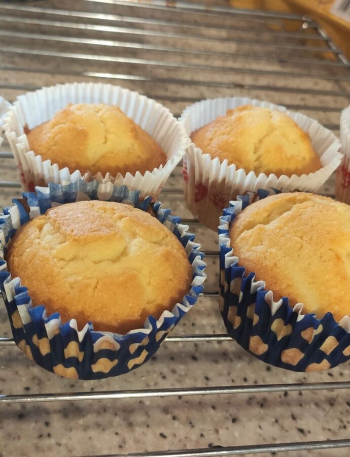 Cupcakes – rise and crumb testing