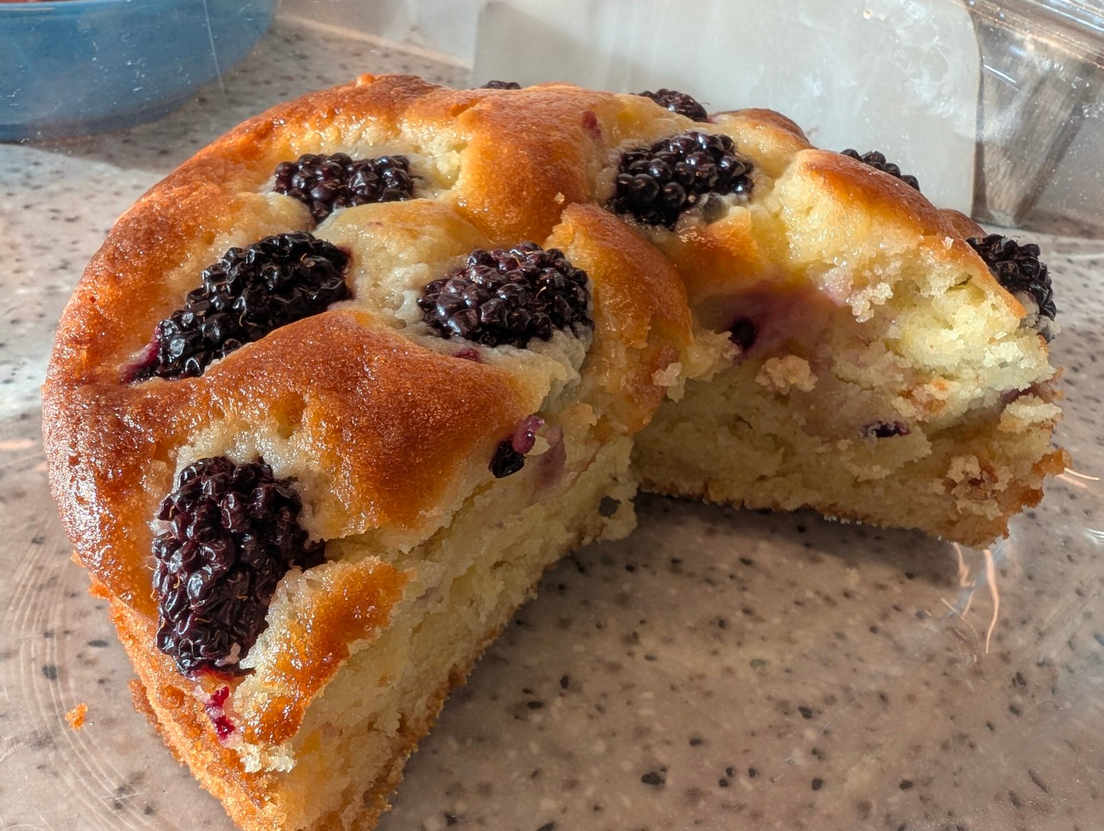 Ricotta, Blanket and lemon cake